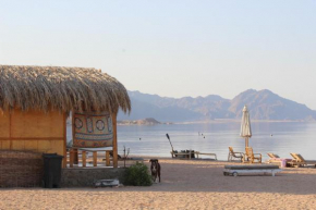 The Bedouin Life with Eid Ali
